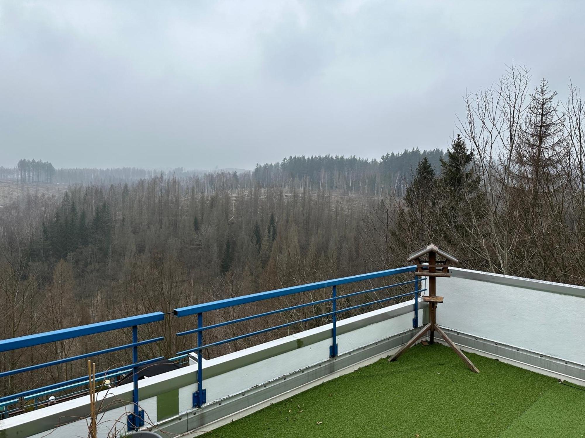 Ferienwohnung Harz #4, Pool, Sauna, Wlan Braunlage Extérieur photo